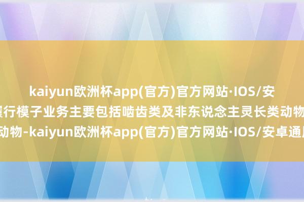 kaiyun欧洲杯app(官方)官方网站·IOS/安卓通用版/手机APP下载履行模子业务主要包括啮齿类及非东说念主灵长类动物-kaiyun欧洲杯app(官方)官方网站·IOS/安卓通用版/手机APP下载