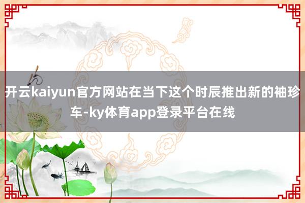 开云kaiyun官方网站在当下这个时辰推出新的袖珍车-ky体育app登录平台在线