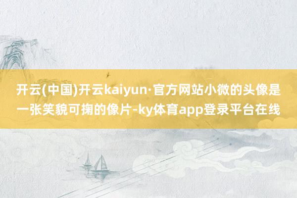开云(中国)开云kaiyun·官方网站小微的头像是一张笑貌可掬的像片-ky体育app登录平台在线
