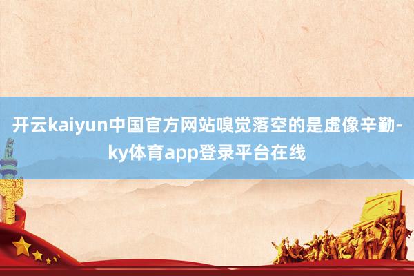 开云kaiyun中国官方网站嗅觉落空的是虚像辛勤-ky体育app登录平台在线