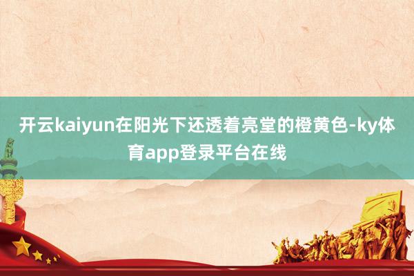 开云kaiyun在阳光下还透着亮堂的橙黄色-ky体育app登录平台在线