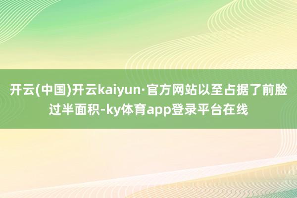 开云(中国)开云kaiyun·官方网站以至占据了前脸过半面积-ky体育app登录平台在线