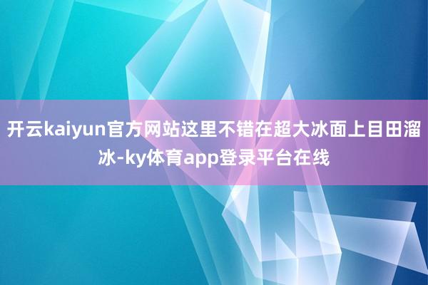 开云kaiyun官方网站这里不错在超大冰面上目田溜冰-ky体育app登录平台在线