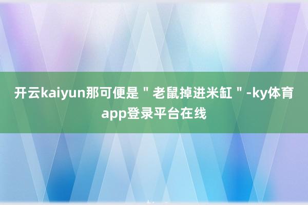 开云kaiyun那可便是＂老鼠掉进米缸＂-ky体育app登录平台在线