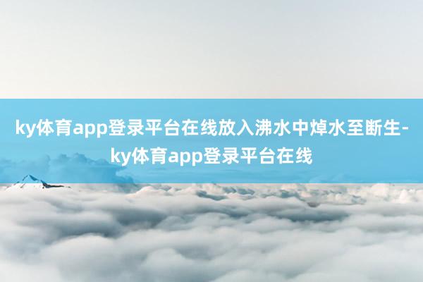 ky体育app登录平台在线放入沸水中焯水至断生-ky体育app登录平台在线