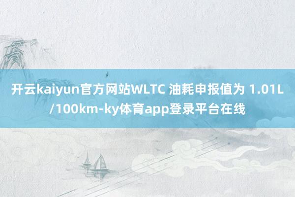 开云kaiyun官方网站WLTC 油耗申报值为 1.01L/100km-ky体育app登录平台在线