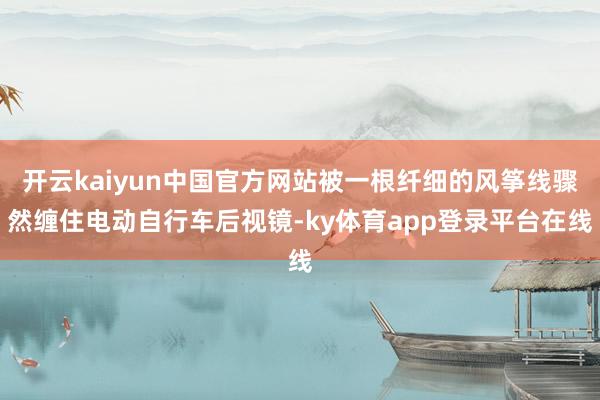 开云kaiyun中国官方网站被一根纤细的风筝线骤然缠住电动自行车后视镜-ky体育app登录平台在线
