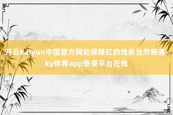 开云kaiyun中国官方网站保障杠的线条当然畅通-ky体育app登录平台在线