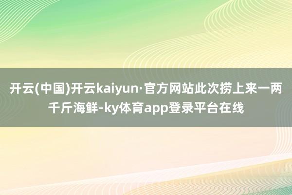 开云(中国)开云kaiyun·官方网站此次捞上来一两千斤海鲜-ky体育app登录平台在线