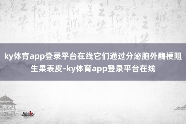 ky体育app登录平台在线它们通过分泌胞外酶梗阻生果表皮-ky体育app登录平台在线