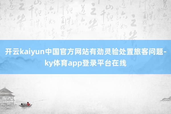 开云kaiyun中国官方网站有劲灵验处置旅客问题-ky体育app登录平台在线