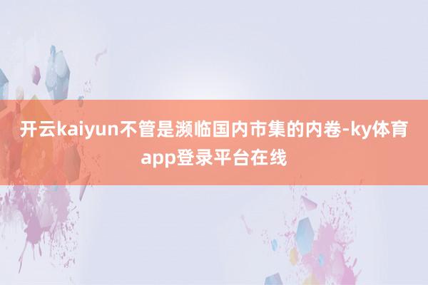 开云kaiyun不管是濒临国内市集的内卷-ky体育app登录平台在线
