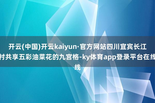 开云(中国)开云kaiyun·官方网站四川宜宾长江村共享五彩油菜花的九宫格-ky体育app登录平台在线