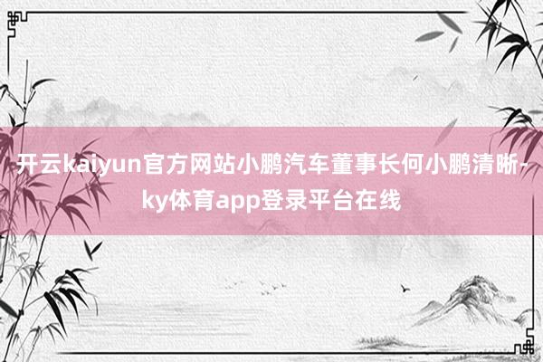 开云kaiyun官方网站小鹏汽车董事长何小鹏清晰-ky体育app登录平台在线