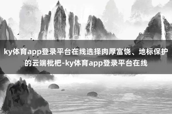 ky体育app登录平台在线选择肉厚富饶、地标保护的云端枇杷-ky体育app登录平台在线