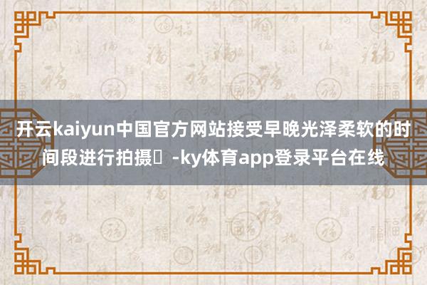 开云kaiyun中国官方网站接受早晚光泽柔软的时间段进行拍摄‌-ky体育app登录平台在线