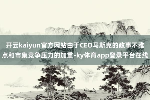开云kaiyun官方网站由于CEO马斯克的政事不雅点和市集竞争压力的加重-ky体育app登录平台在线
