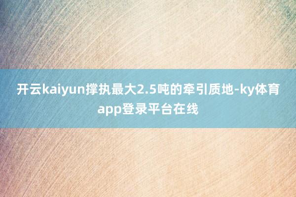 开云kaiyun撑执最大2.5吨的牵引质地-ky体育app登录平台在线