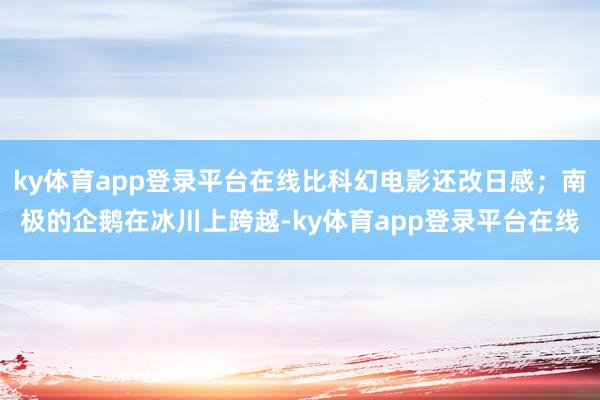 ky体育app登录平台在线比科幻电影还改日感；南极的企鹅在冰川上跨越-ky体育app登录平台在线