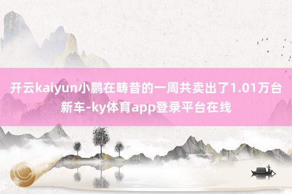开云kaiyun小鹏在畴昔的一周共卖出了1.01万台新车-ky体育app登录平台在线