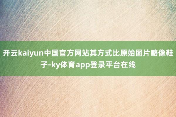 开云kaiyun中国官方网站其方式比原始图片略像鞋子-ky体育app登录平台在线