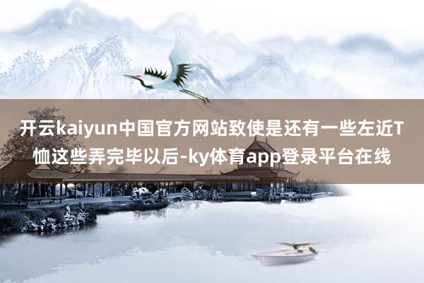 开云kaiyun中国官方网站致使是还有一些左近T恤这些弄完毕以后-ky体育app登录平台在线