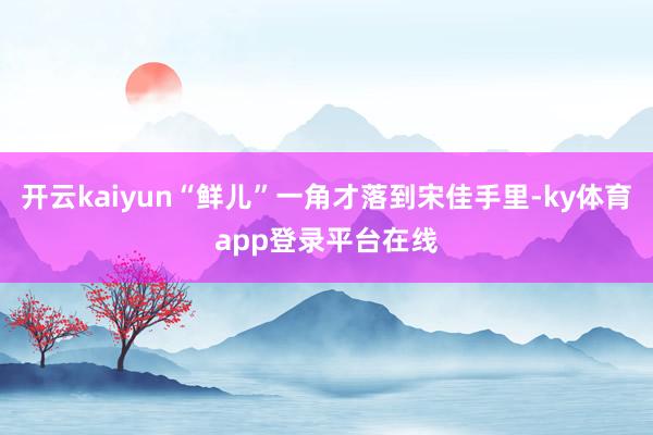 开云kaiyun“鲜儿”一角才落到宋佳手里-ky体育app登录平台在线