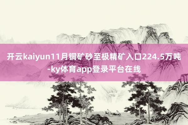 开云kaiyun11月铜矿砂至极精矿入口224.5万吨-ky体育app登录平台在线