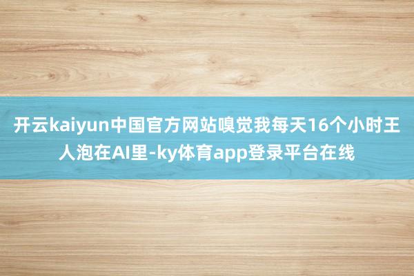 开云kaiyun中国官方网站嗅觉我每天16个小时王人泡在AI里-ky体育app登录平台在线