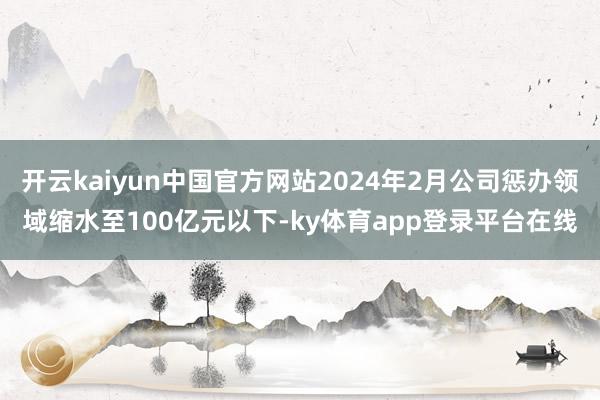 开云kaiyun中国官方网站2024年2月公司惩办领域缩水至100亿元以下-ky体育app登录平台在线