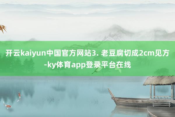开云kaiyun中国官方网站3. 老豆腐切成2cm见方-ky体育app登录平台在线