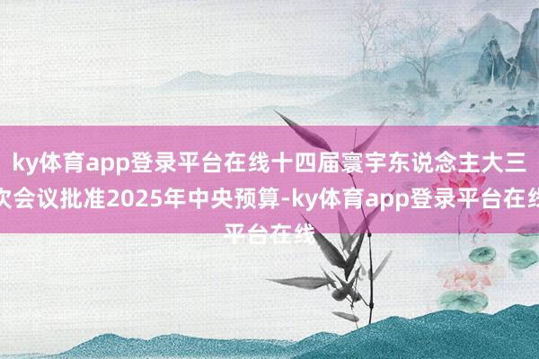 ky体育app登录平台在线十四届寰宇东说念主大三次会议批准2025年中央预算-ky体育app登录平台在线